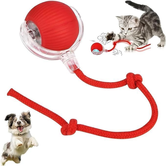 Saffron Shelf Automatic Interactive Cat Teaser Ball | Self-Moving 360° Rolling Toy with Tail for Cats & Kittens
