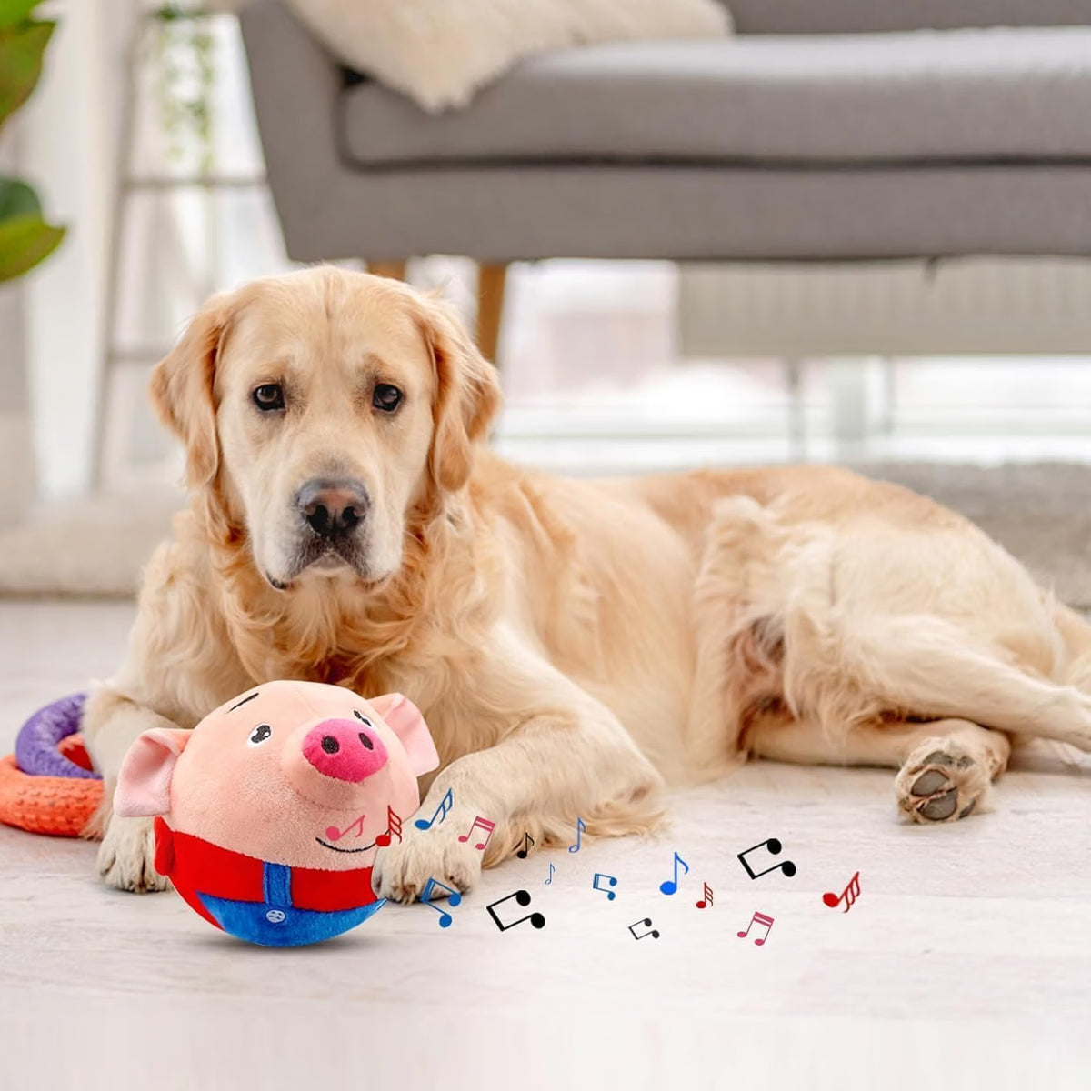 Saffron Shelf Dancing & Singing Piglet Toy | Interactive Musical Plush Toy for Babies & Toddlers | Touch Activated Dancing Pig Toy